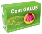 Com Galus