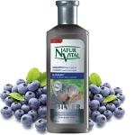 NaturVital Silver Blueberry ampuan
