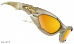 Oakley Plate 03-851