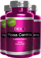 Dexx Ku�burnu Kaps�l� (Rosa Canina)