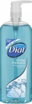 Dial All Day Freshness Vcut ampuan