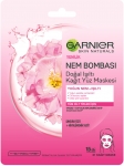 Garnier Nem Bombas Doal Ilt Kat Yz Maskesi