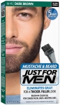 Just For Men Brush-in Color Gel (Sakal Renklendirici Boya)