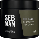 Sebastian Man The Dandy Erkekler İçin Hafif Tutucu Saç Şekillendirici Parlaklık Kremi