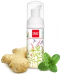 Splat Express Ginger - 2'si 1 Arada Zencefil Aromal Kpk Di Macunu