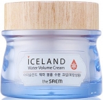 The SAEM Iceland Water Nemlendirici Krem