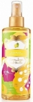 Victoria's Secret Lemon Paradise Vcut Kokusu