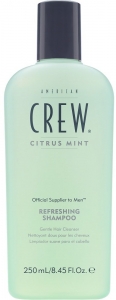 American Crew Citrus Mint Erkekler in Ferahlatc Nane ampuan