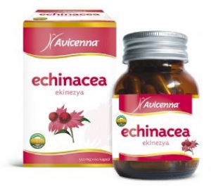 Avicenna Echinacea (Ekinezya)