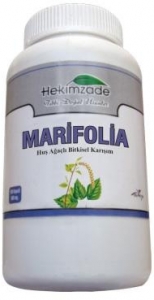 Hekimzade Marifolia