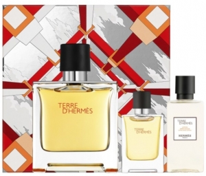 Hermes Terre D'Hermes Pure EDP Erkek Parfm Kofresi