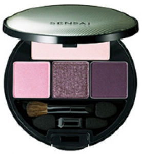 Kanebo Eye Shadow Palette ES