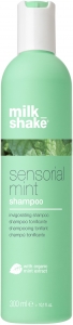 Milkshake Sensorial Mint Canlandrc Ferahlatc Nane ampuan