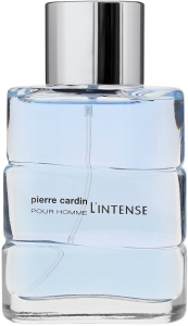 Pierre cardin online pour homme
