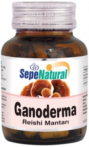 Sepe Natural Ganoderma Reishi Mantarı